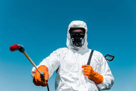 Best Outdoor Pest Control  in Agler Beach, FL